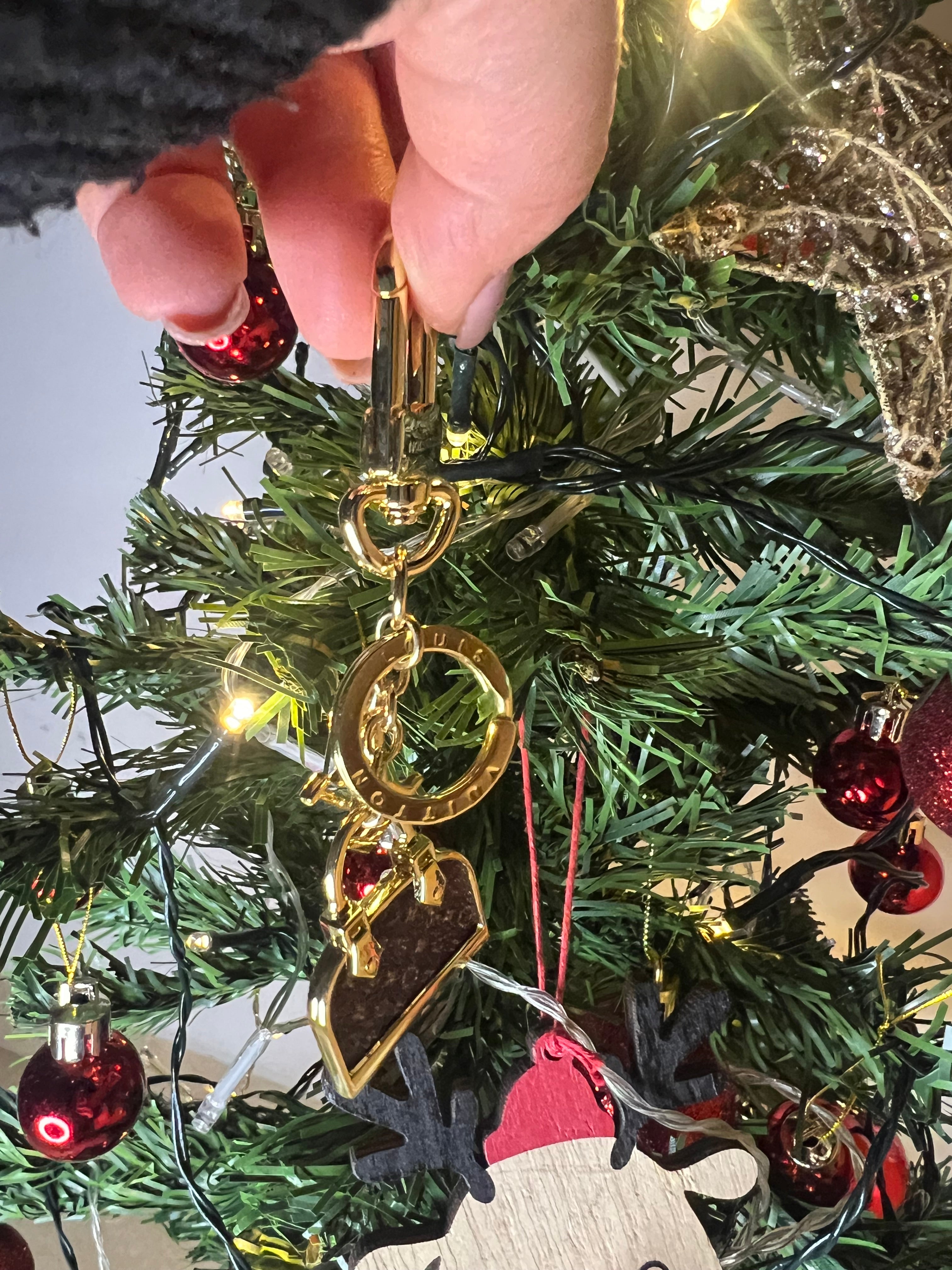 Iconic Charm a Borsetta